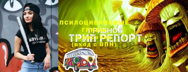 бутират Алексин