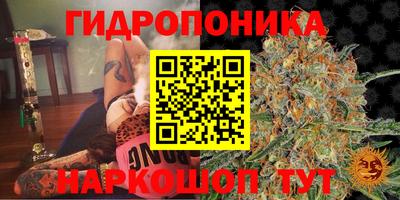 хмурый Партизанск