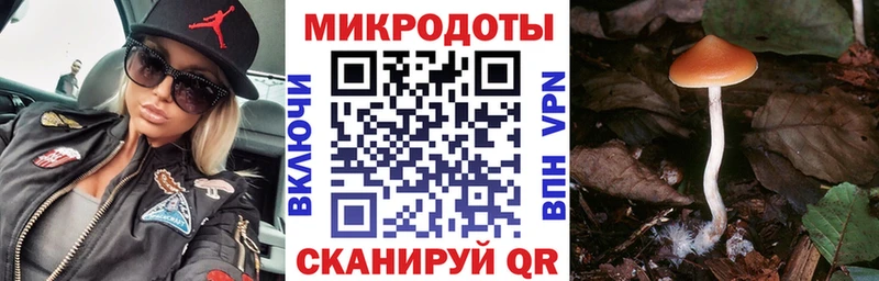 Псилоцибиновые грибы Magic Shrooms  Шатура 