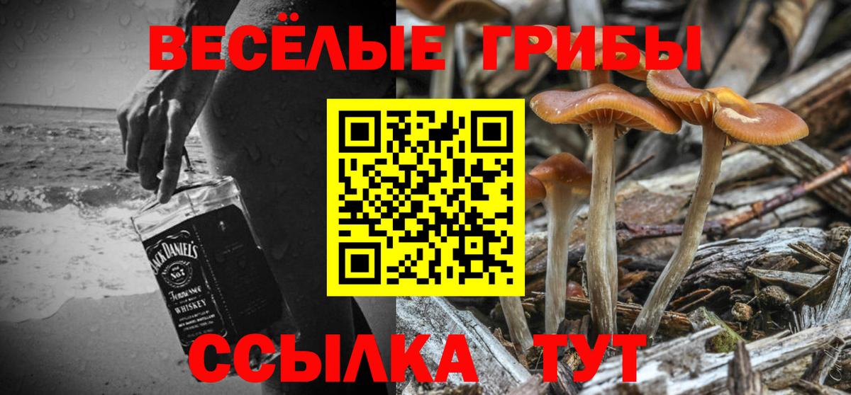 Шатура  Псилоцибиновые грибы GOLDEN TEACHER  Вход с VPN 