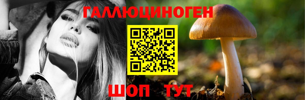 Галлюциногенные грибы ЛСД Шатура