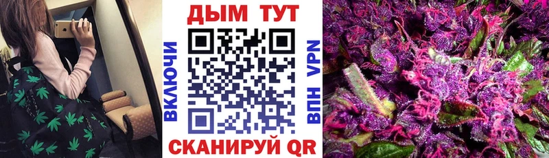 купить наркотики сайты  Шатура  Конопля план 