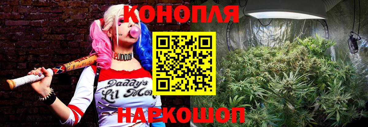 Бошки Шишки THC 21%  МАРИХУАНА планчик  Вход с VPN  Шишки марихуана THC 21%  Шатура 